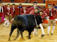 Hugo Figueira, the commander of the Forcados Amadores do Redondo, grabs the charging bull by the horns as the rest of his team jumps in to control the 'pega' (the grab). PETER PEREIRA